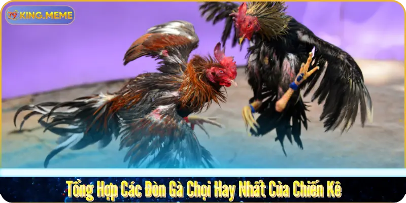 Tin Tức 79KING – Cập Nhật Sự Kiện & Thông Tin Mới