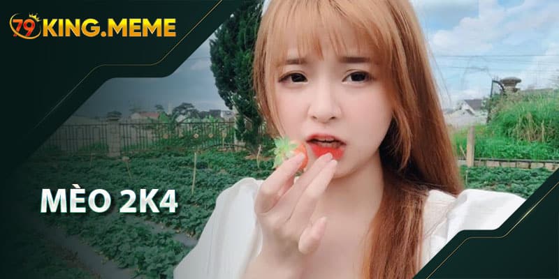 Tin Tức 79KING – Cập Nhật Sự Kiện & Thông Tin Mới